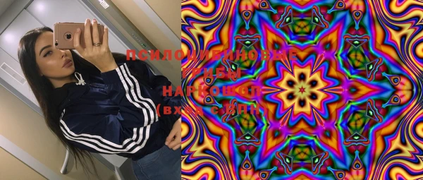 хмурый Гусиноозёрск