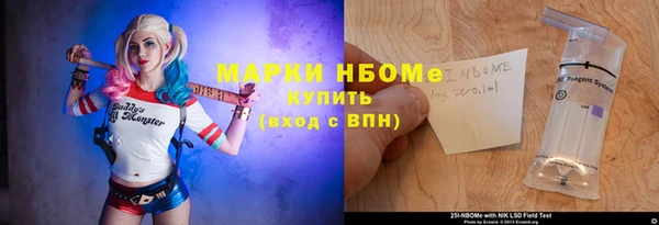 хмурый Гусиноозёрск