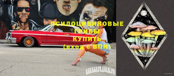 хмурый Гусиноозёрск
