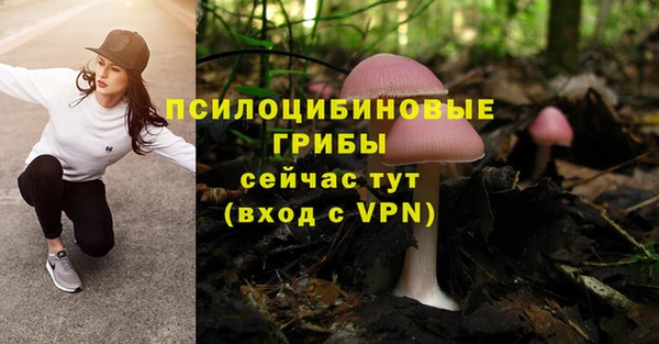 героин Гусь-Хрустальный