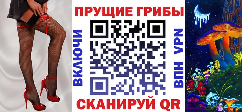 Купить закладки Каменка Галлюциногенные грибы MAGIC MUSHROOMS